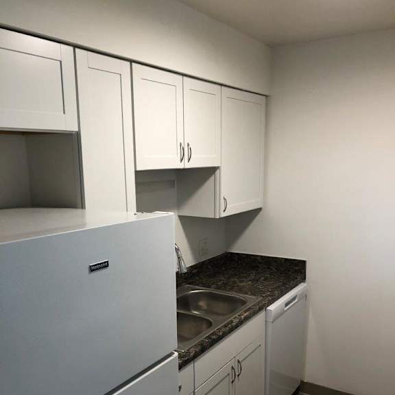 a kitchen with a sink and a dishwasher
