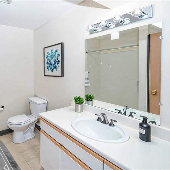 a bathroom with a toilet, sink, and mirror.