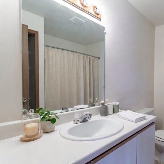 a bathroom with a white sink and toilet.