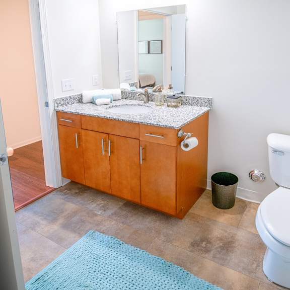luxurious bathroom at oliver apartments, michigan