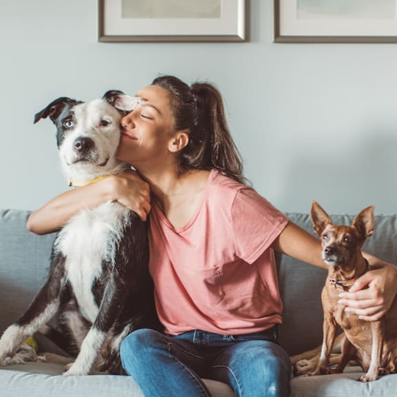 A woman is sitting on a couch with two dogs, one of which is a small breed and the other is a larger breed.