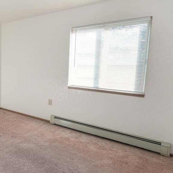 an empty room with carpet and a window