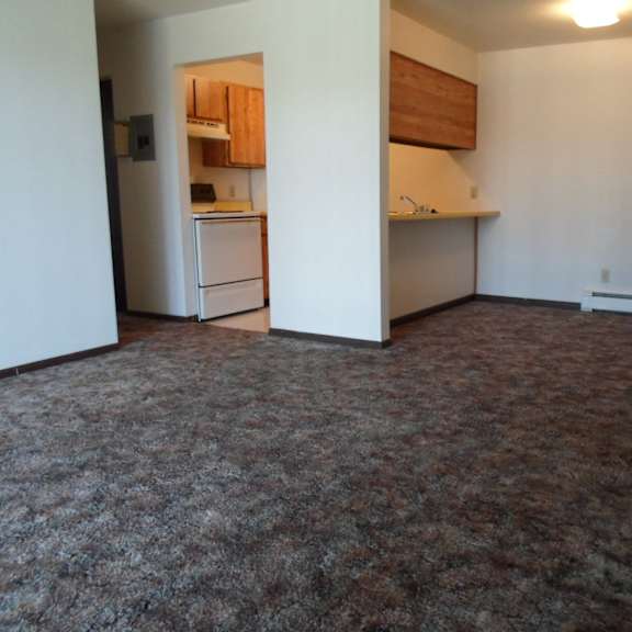 dining area wawatam apartments
311 w. cadillac street, mackinaw city, mi 49701