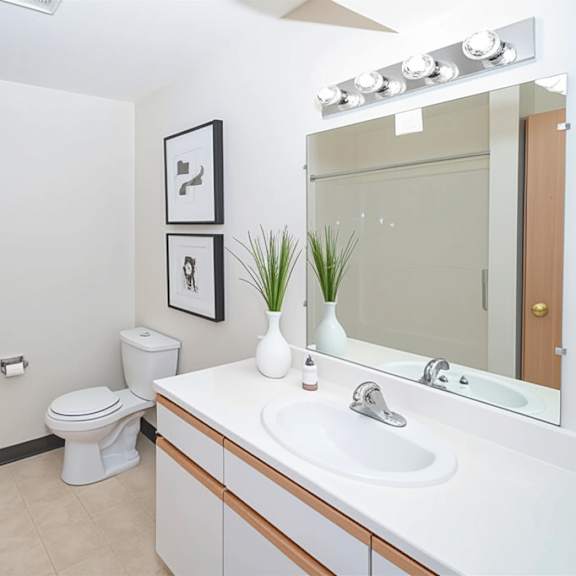a white toilet sits in a bathroom next to a sink and a mirror.
