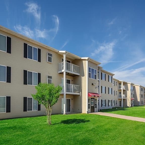 a tree stands in front of apartment buildings.