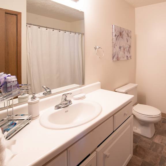 bathroom with bathtub at woodbury estates apartments, adrian, mi, 49221