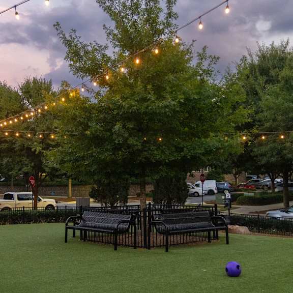 a park with benches and strings of lights