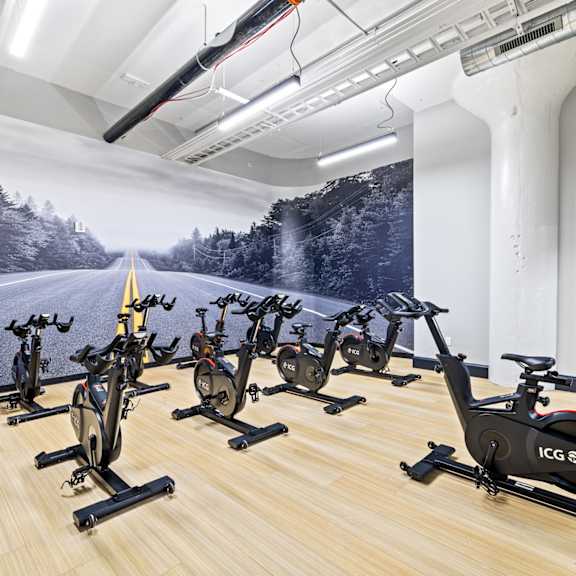 a gym with cardio equipment and a large window view of a snow covered mountain