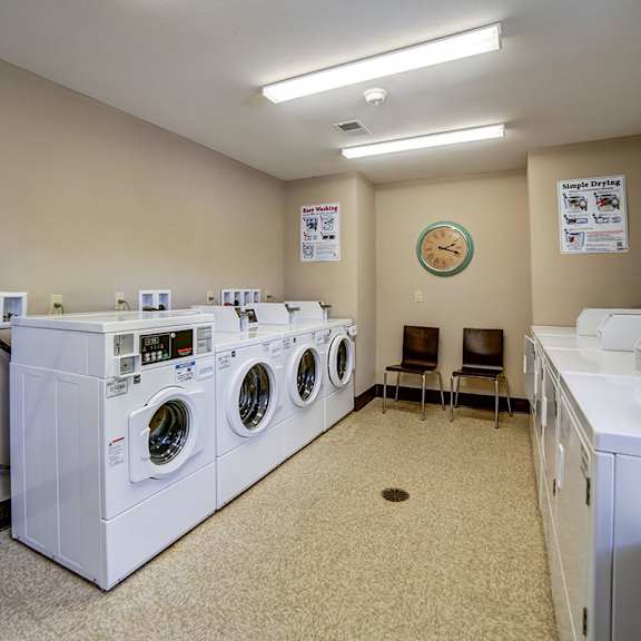 a washer and dryer room with a row of washing machines