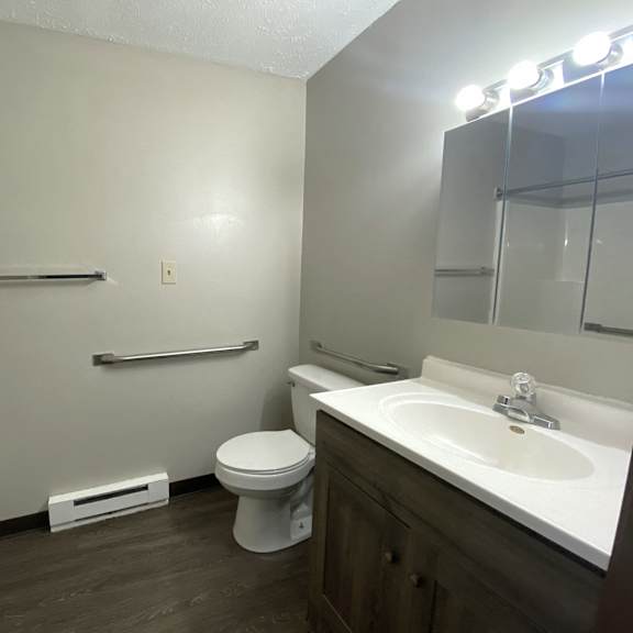 a bathroom with a toilet and a sink and a mirror