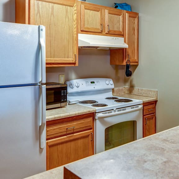 a kitchen with a stove and a refrigerator