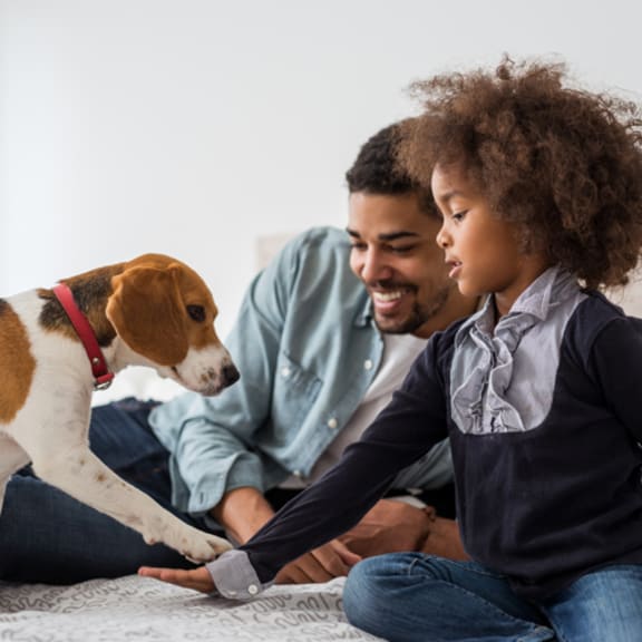a father and daughter playing with their dog on the bed