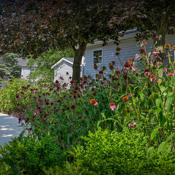 a sidewalk leading to a playground in front of a house