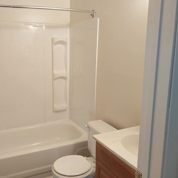 a white toilet sits next to a bathtub in a bathroom.
