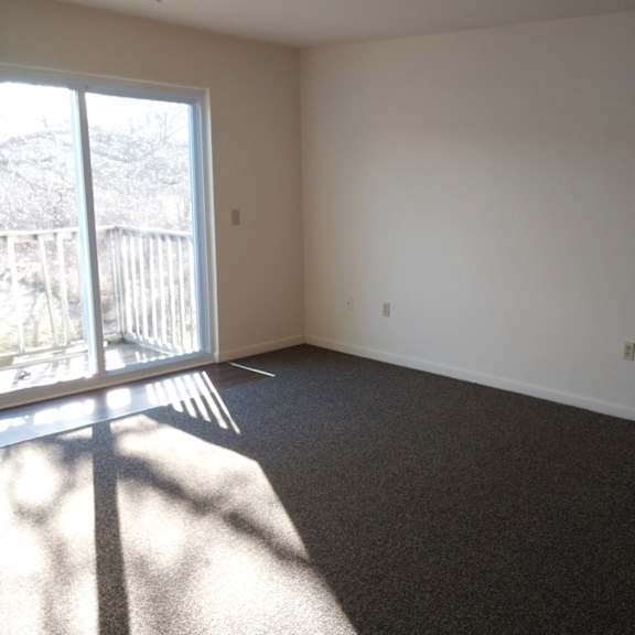 a room with a carpeted floor and a large window letting in sunlight.