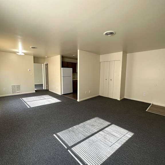 large living room in one bedroom apartment