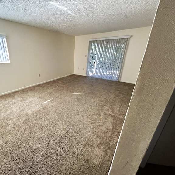 a room with a carpeted floor and a window with blinds.