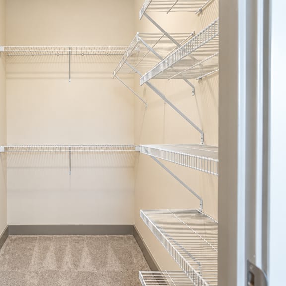 empty walk-in closet with shelves and carpeted floor.