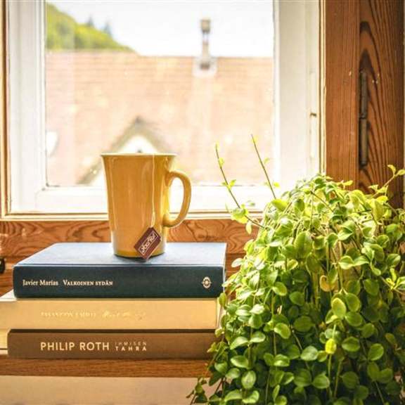 a yellow mug sits on top of a stack of books next to a green plant on a windowsill.