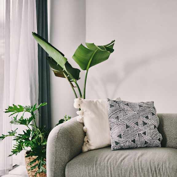 a grey couch with a green pillow and a green leafy plant in a vase.