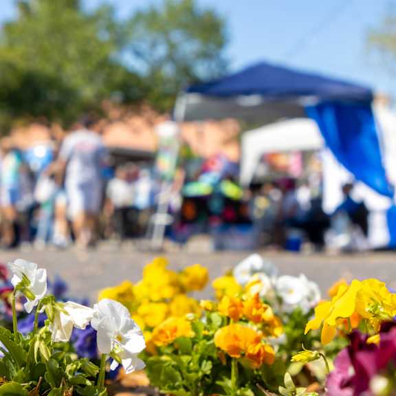 a bunch of flowers in the foreground with a blurry crowd in the background.
