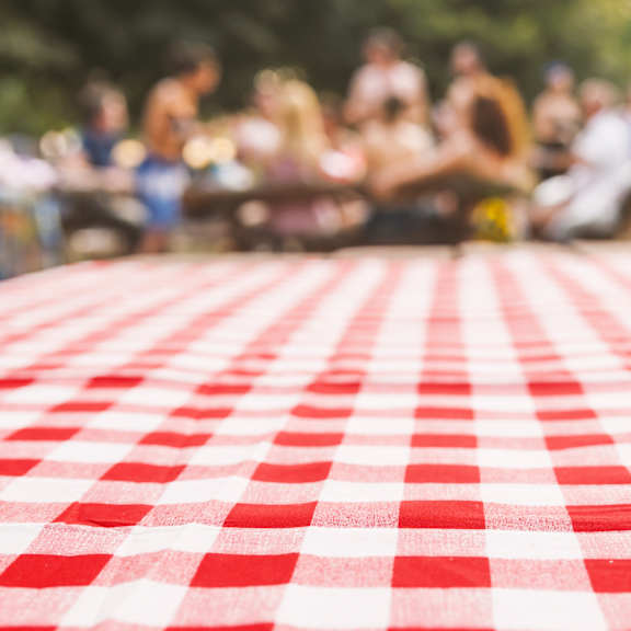 a picnic tablecloth with a red and white checkered pattern is in the foreground.