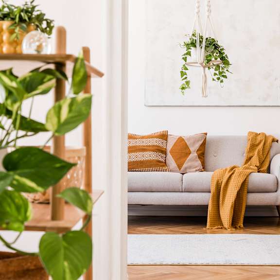 a living room with a couch and a rug and plants