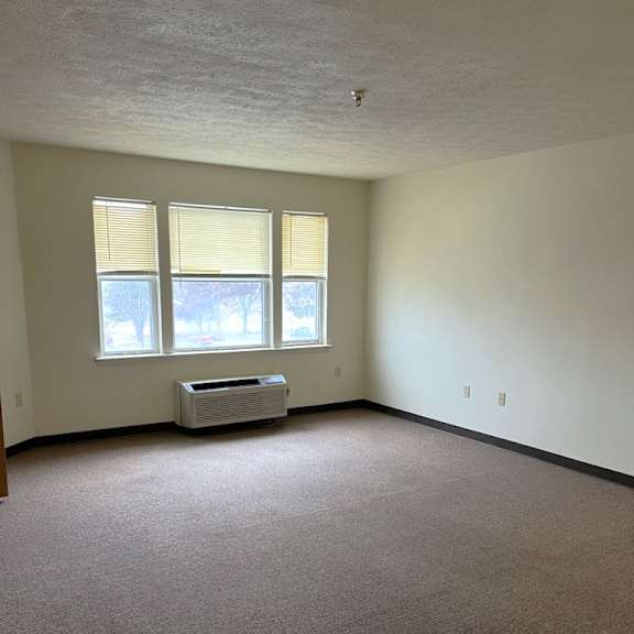 an empty room with a radiator and two windows