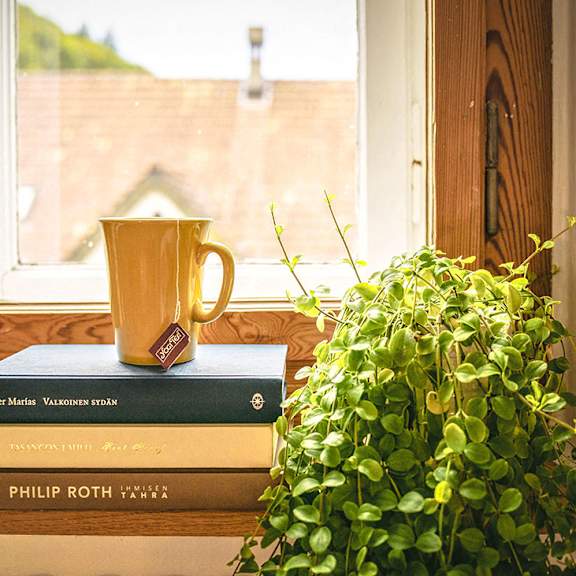 a stack of books with a yellow mug on top and a green plant beside it.