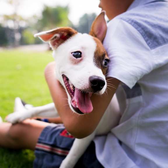 a man and his dog sitting on the grass