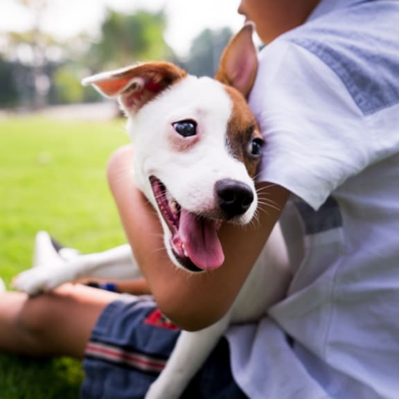 a man and his dog sitting on the grass