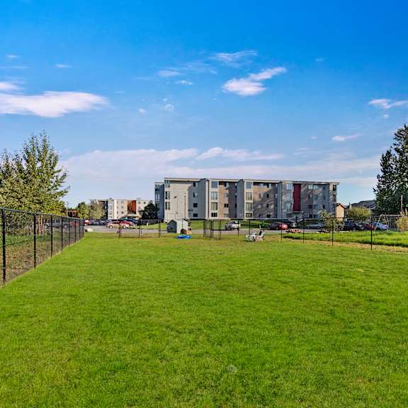 large fenced dog park at the alpine with expansive green lawn, surrounded by black chain-link fencing under a bright blue sky. community buildings and parked cars are visible in the distance, along with mature trees lining the edge of the property, creating a spacious outdoor area for pets to play and exercise.
