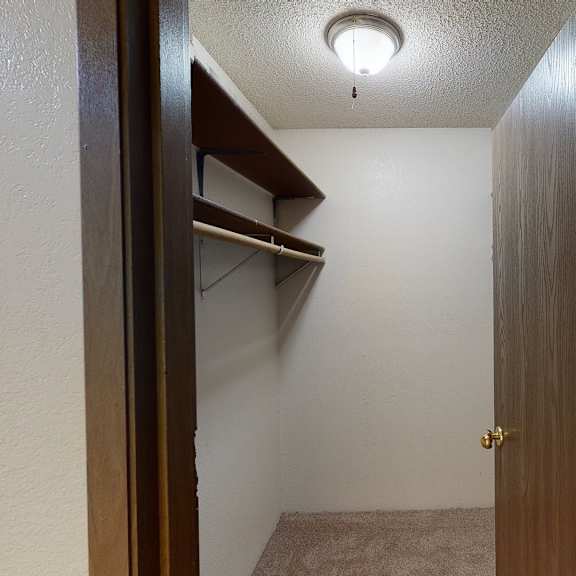 a small, empty walk-in closet here at terrace on the lake apartments with beige carpet, white walls, and wooden shelves on the left. an open wooden door and a ceiling light create a cozy ambiance.