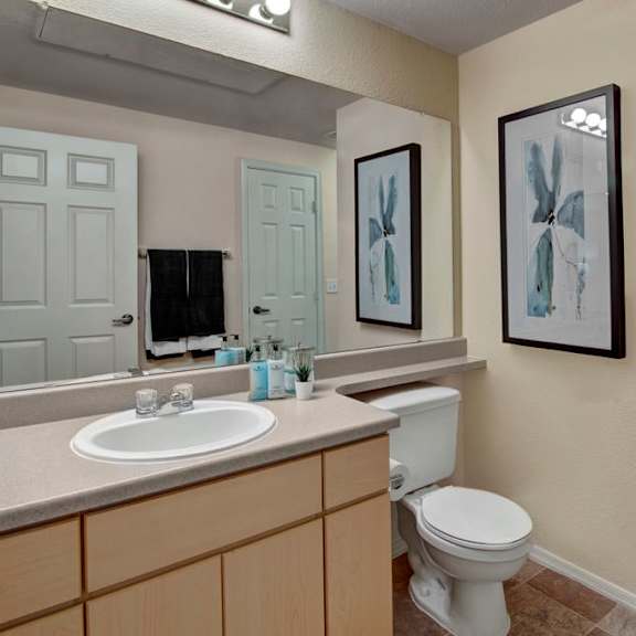 a bright bathroom here at sonoma landing featuring a long vanity with light wood cabinetry, a single sink set into a neutral countertop, and a wide wall mirror with overhead lighting, complemented by decorative greenery, a toilet, and a tub and shower combination enclosed by sliding glass doors, with warm-toned flooring completing the space.