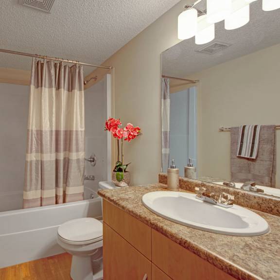a clean, well-lit bathroom here at sonora featuring a white tub and shower combination with a neutral striped curtain, a single-sink vanity with warm wood cabinetry and a speckled countertop, modern lighting above a large mirror, coordinated towels, and durable flooring that creates a fresh, functional space.