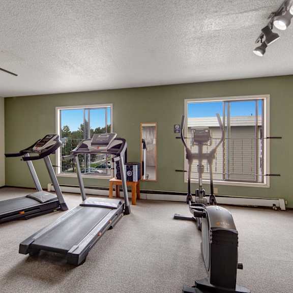 a small gym here at the continental apartments with two treadmills and an elliptical machine on a carpeted floor. large windows and mirrors provide natural light and reflection.