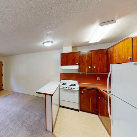 cozy apartment interior here at country lane apartments with carpeted living area, large window, and compact kitchen. kitchen features wood cabinets, white appliances, and orange accents.