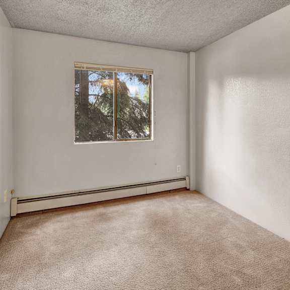 a small, empty bedroom here at deer park apartments with beige carpet, white walls, and a window letting in natural light from outside trees.
