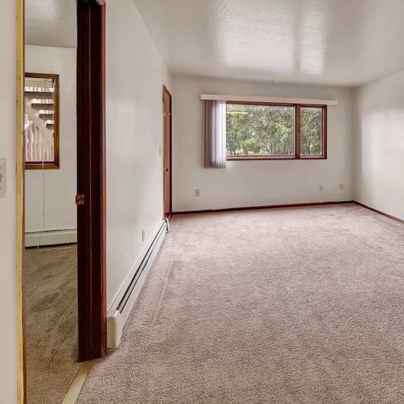 living room here at driftwood apartments with beige carpet, white walls, and a large window revealing greenery outside. the space feels quiet and spacious, with wooden trim accents.