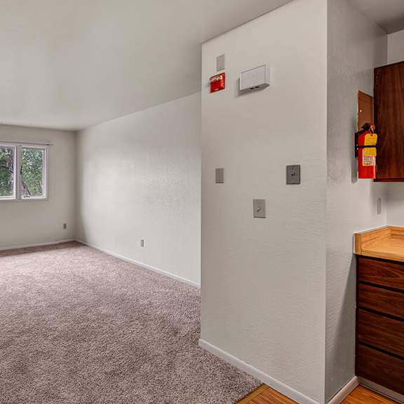 living room here at driftwood apartments with beige carpet, white walls, and a large window showing green trees. a door is on the left, with a fire extinguisher mounted near wooden cabinets.