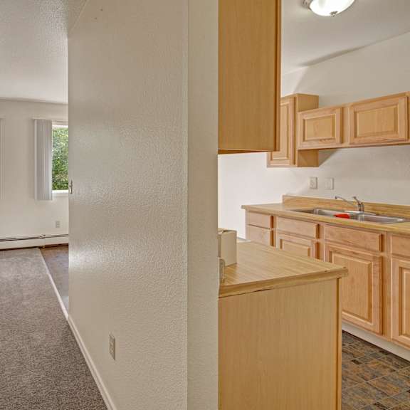 spacious apartment interior here at the glen apartments with a beige carpeted living area, large windows showing green foliage, and an adjoining kitchen with wood cabinets. light and airy ambiance.