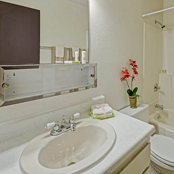 bright bathroom here at the glen apartments with a white countertop, sink, and faucet. red flowers in a pot add color near a toilet. a shower with a patterned curtain is visible.
