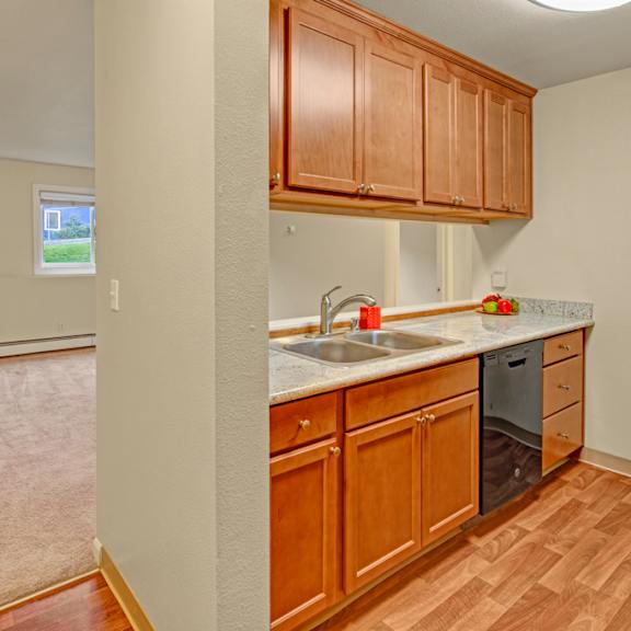 compact kitchen here at hillside chalet apartments with wooden cabinets, granite countertop, and stainless steel dishwasher. adjacent carpeted living area with window, offering a cozy atmosphere.