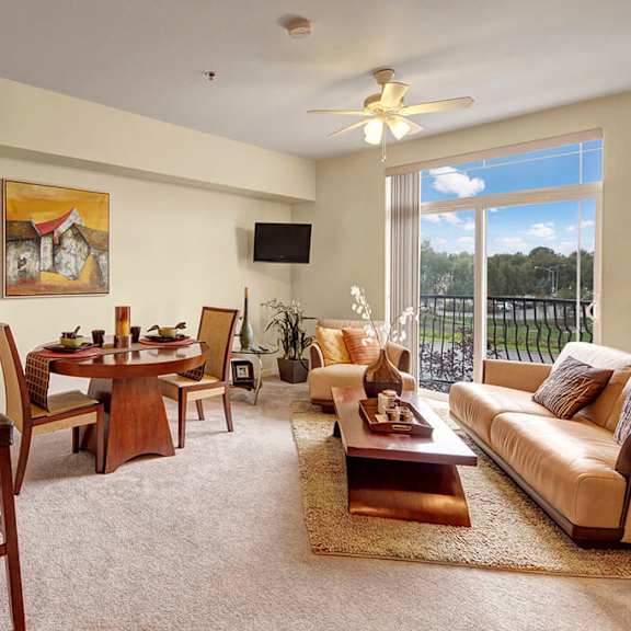 a cozy living and dining area here at park plaza 2 apartments with a modern, warm decor. features a plush sofa, round dining table, and large window with a sunny view outside.