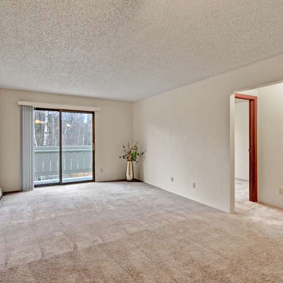 empty living room here at park plaza apartments with beige carpet, white walls, and a large sliding glass door opening to a balcony. sparse decor includes a vase with flowers.