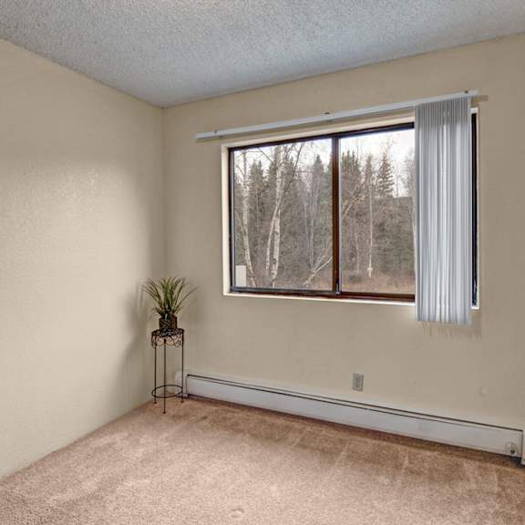 empty bedroom here at park plaza apartments with a large window showing leafless trees outside. vertical blinds cover half the window. a plant on a stand decorates a corner.