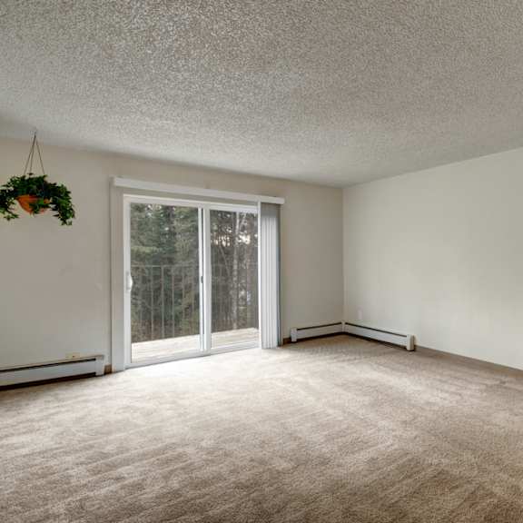 spacious empty living room here at quiet creek apartments with beige carpet and white walls. a large sliding glass door opens to a balcony with trees visible outside. a potted plant hangs near the door.