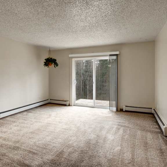 empty living room here at quiet creek apartments with beige walls and carpet, featuring a sliding glass door leading to a balcony. a hanging plant adds a touch of nature.
