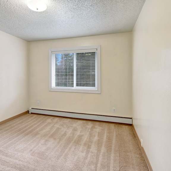 an empty bedroom here at quiet creek apartments with beige carpet and cream walls, featuring a single window with white blinds. the setting is bright and minimal, conveying simplicity.