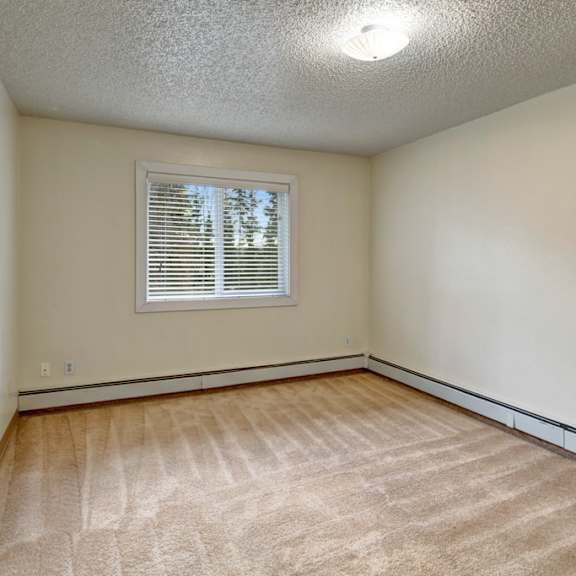 empty bedroom here at quiet creek apartments with beige carpet and cream walls, featuring a single window with closed blinds. overhead light fixture brightens the cozy, minimal space.